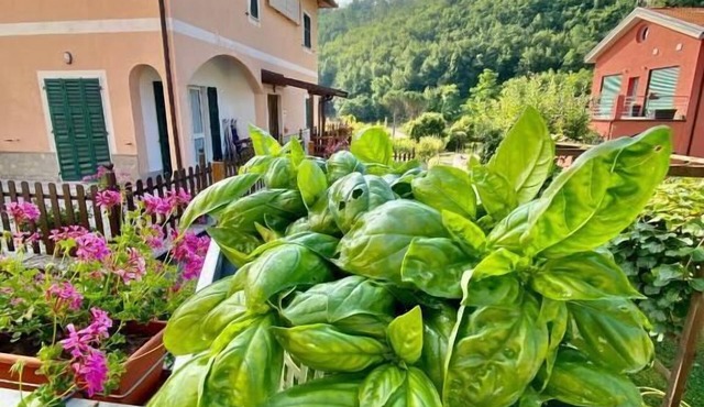 Locanda da Marco
