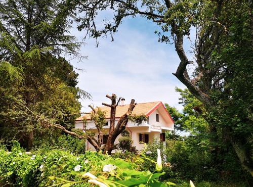 Locanda SottoBosco