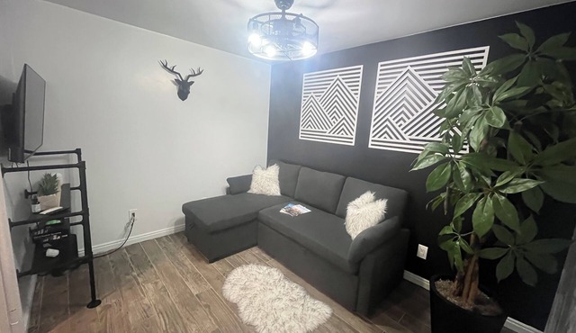 Located in Basement of Twin Home. Relax & Play with Swim Spa & Game Room.