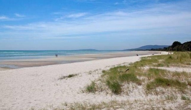 Location Location Rye - (Beachfront accommodation)