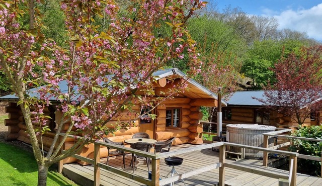 Lodge 3 - a lodge that sleeps 4 guests in 1 bedroom
