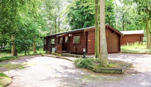 Lodge 8