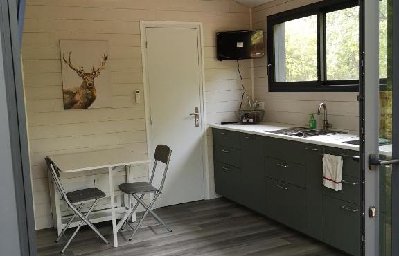 Lodge avec terrasse