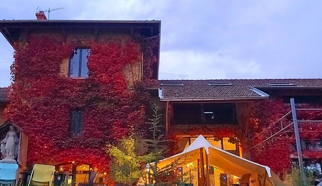 Lodges Lao