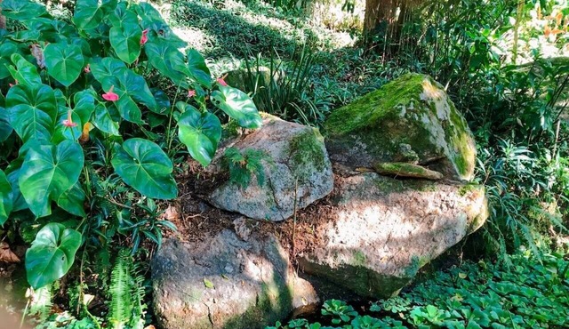 Loft Aconchegante em Meio à Natureza