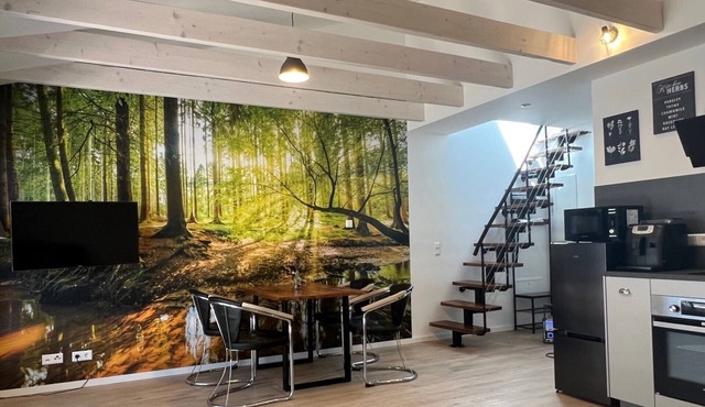 Loft apartment on 2 floors, Neckar trip hiking, wine enjoyment, Neckar