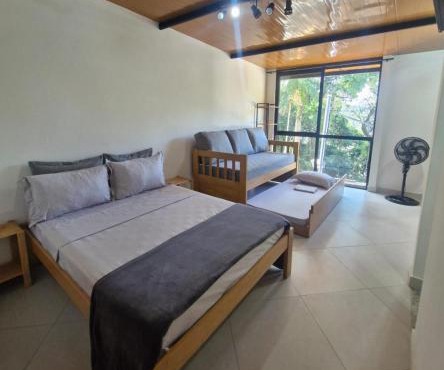 Loft da Árvore