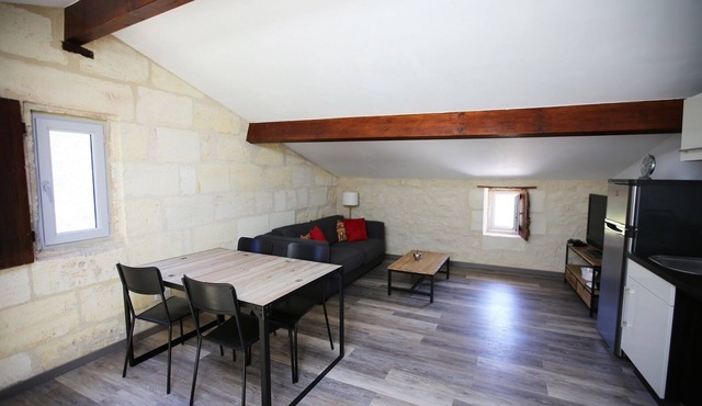 Loft dans un vignoble- 15 min de St Emilion