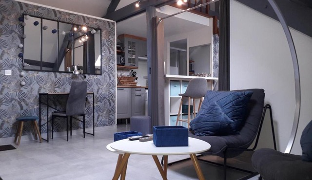 Loft Haut de Gamme Centre Montargis, Place de Parking, Local à vélos, Linge de lits et serviettes, coin rivière amenagé, Hamac, Épicerie, Vélos en option, Tout confort jusqu'à 4 voyageurs
