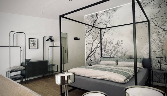 Loft in modern elegance