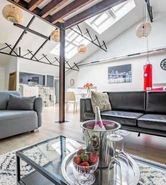 Loft & Spa LE FAUBOURG SAINT MARTIN