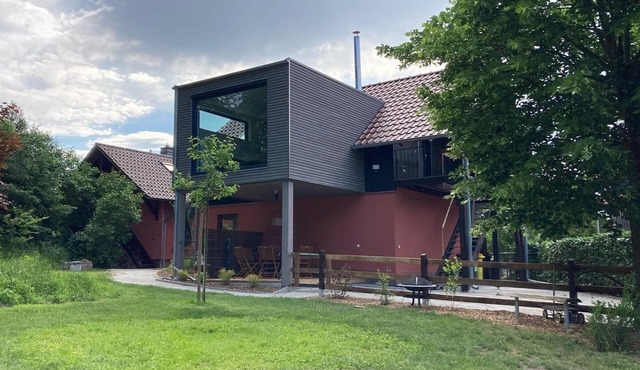 Loft with fireplace and 2 terraces on a natural plot in Straupitz-Spreewald