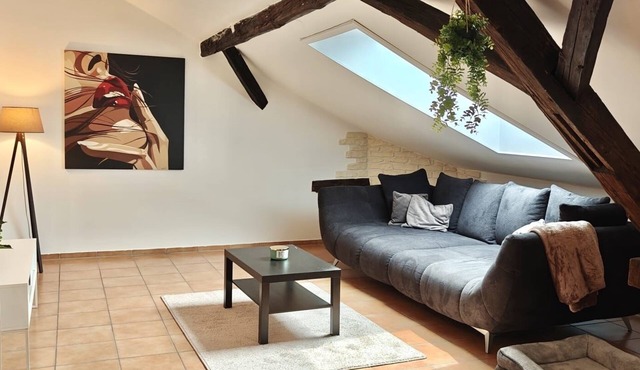 Loft with pond view in the Franconian lake district Pet-friendly