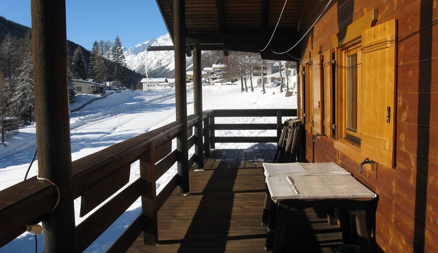 Log house with plenty of space for children, pets welcome Haflinger horses
