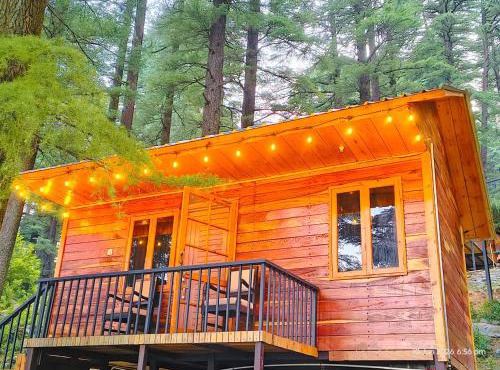 log hut dharamkot