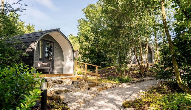 Long Ashes - Tan - a long ashes park that sleeps 2 guests in 1 bedroom