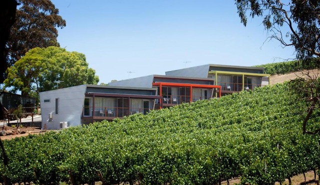 Longview Vineyard