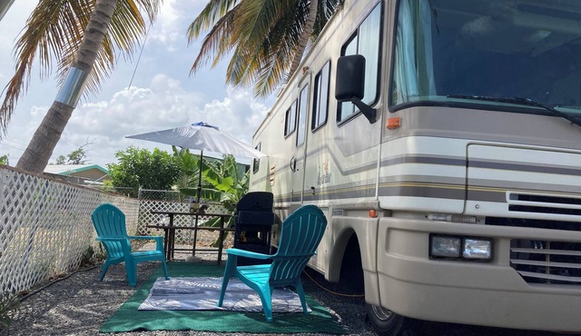 Looking for a Unique adventure try camping