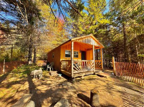 Lookout Cabin