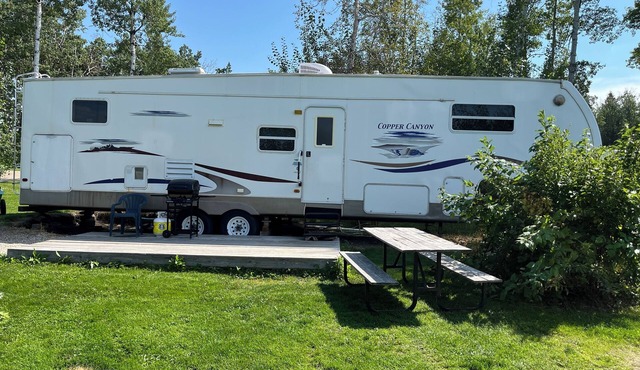 Loon - Camper at Sunset Bay