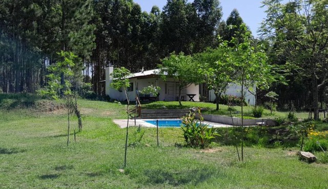 Los Agapantos