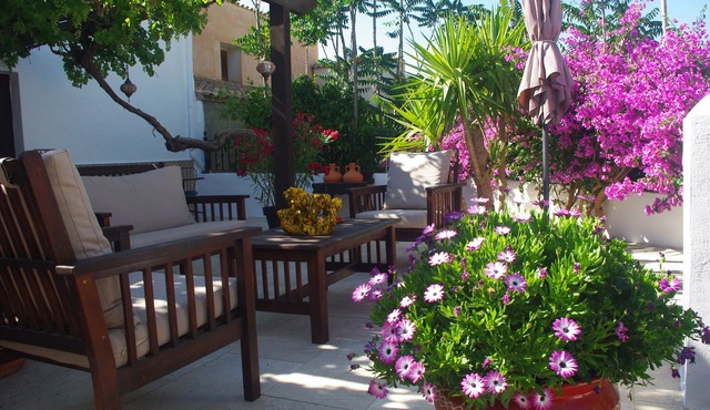 Los Lujos B&B