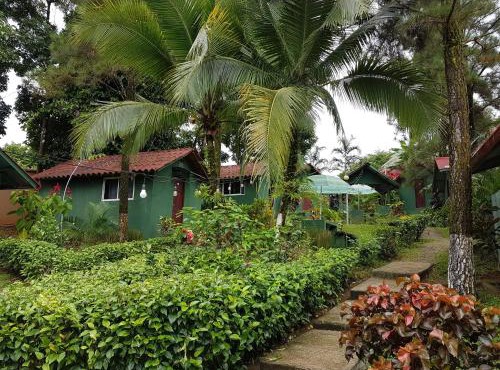 LOS PINOS DE TORIO