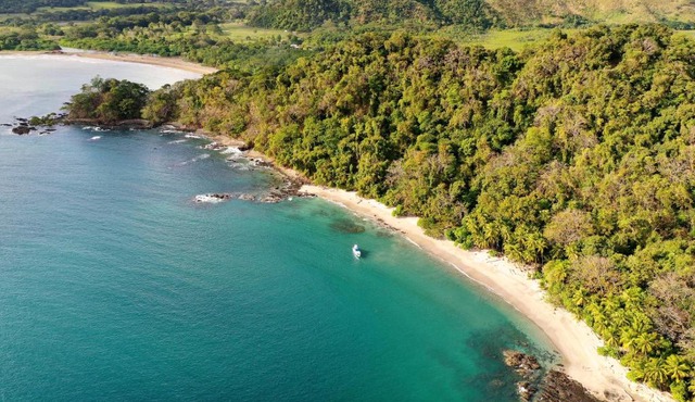 Los Vivos Beachfront Experience