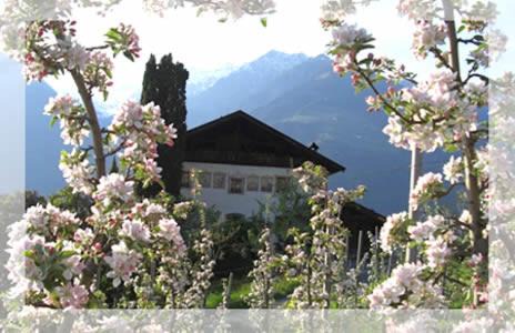 Lothof