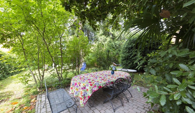lovely accommodation with garden, beautiful outlook