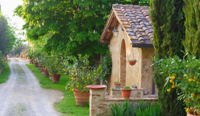 Lovely apartment in villa with pool, WIFI, TV, patio and panoramic view, close to San Gimignano