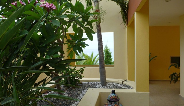 Lovely Beach-Front East Cape Condo