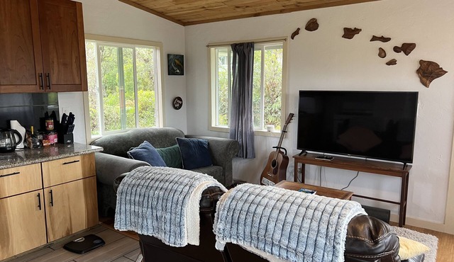 Lovely Centrally-Located Cabin with fast Wi-Fi. Perfect for E.Hawaii Exploration