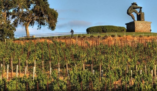 Lovely Cozy Napa Suite Sleeps 4 (Last minute Stays 30+% OFF)
