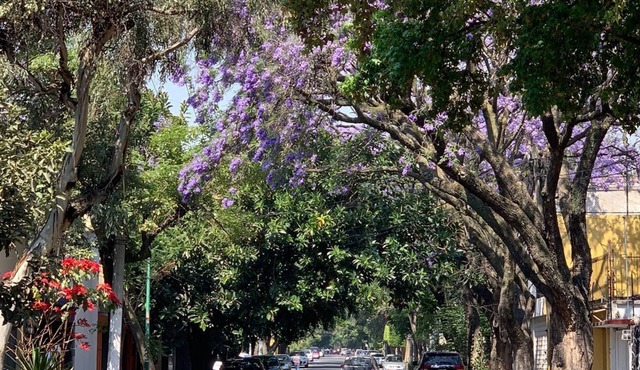 Lovely Duplex In XVI Century Coyoacan