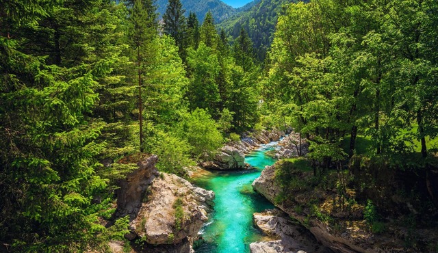 Lovely Flat Tolmin