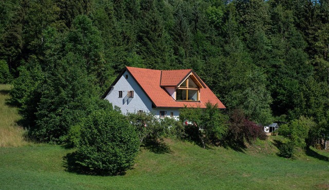 Lovely home in Vrhnika with WiFi