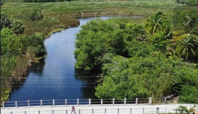 Lovely River view two bedrooms on The banks of Black River. Breakfast Included!