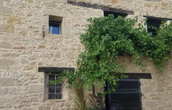 Lovely room in a renovated mill