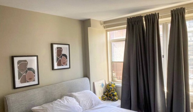 Lovely spacious midtown apartment