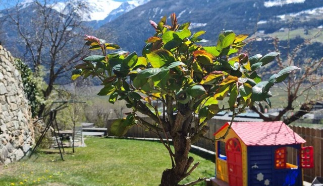 Lovely vacation apartment for active people and those seeking peace and quiet in Silandro/Schlanders.
