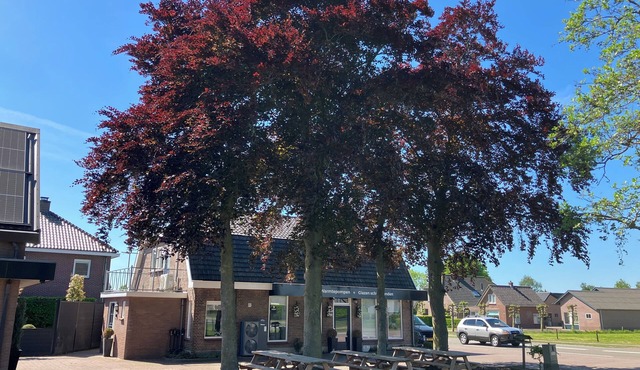 Lovely velvet vacation home (under the beech)
