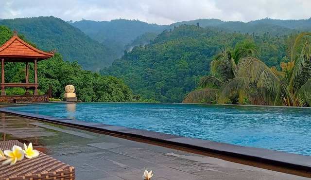 Lovina hillside & ocean view villas with 2 bedroom