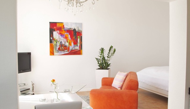 Lovingly furnished apartment with proximity to Basel and Alsace