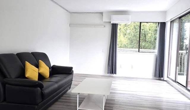 Lower Lonsdale One Bedroom Apartment - Mins to Seabus/Shipyard