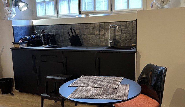 Lucas II Appartement 35 m2 Hôtel Particulier XII eme Siecle
