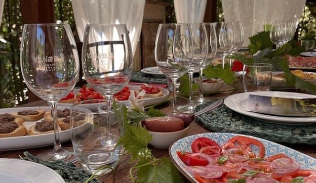 Lucca - Wine tasting at Tenuta Mareli