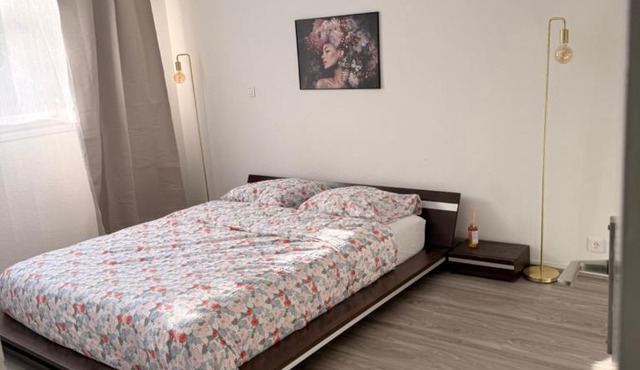 Lumineux T2 cosy Jardin des Plantes et parking privé gratuit