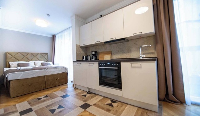 Lux Central studio Apartment with big balcony