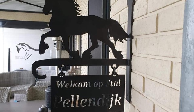 Luxe gastenkamer met living en keuken bij Friezen paarden Stal Pellendijk